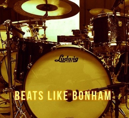 The Loop Loft Beats Like Bonham Bundle WAV